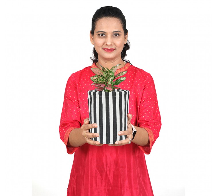 Plant Holder Bags