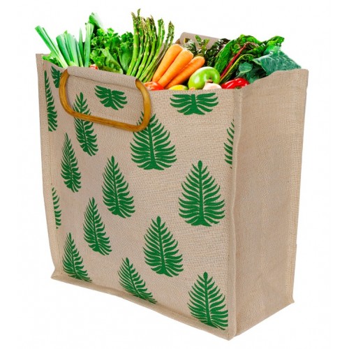 Shopping/Grocery Bags