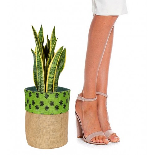 Printed Jute Plant Pot Bags