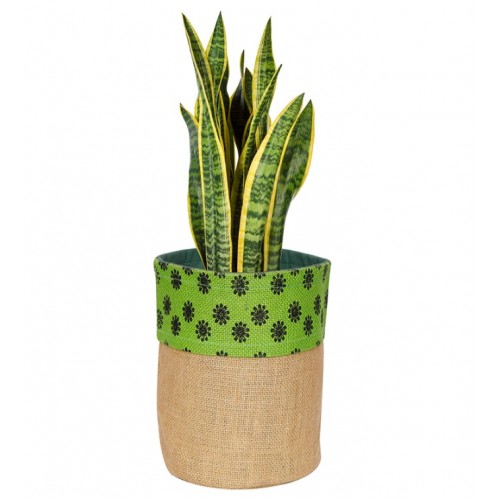 Printed Jute Plant Pot Bags