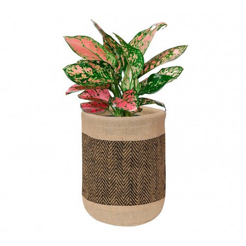 Plant Holder Bags