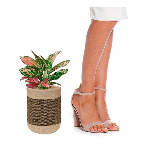 Plant Holder Bags