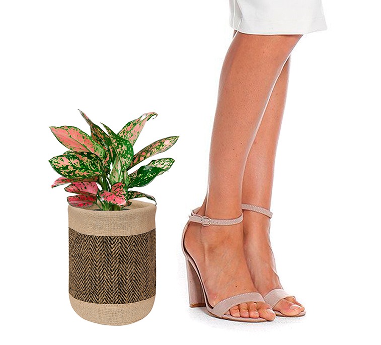 Plant Holder Bags